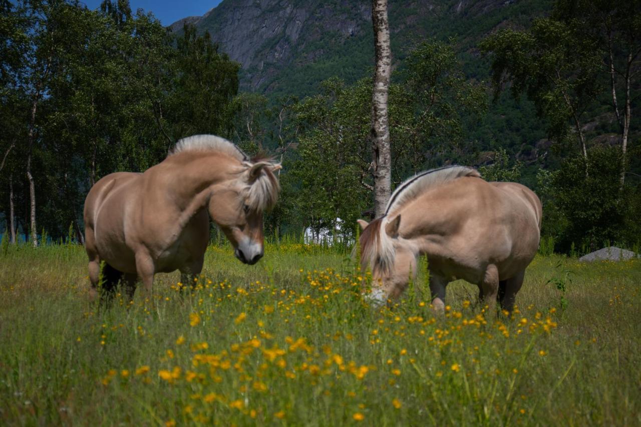 Olden Glamping - One With Nature สตรีน ภายนอก รูปภาพ